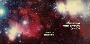 ערפילית אם 42 וערפילית ראש הסוס